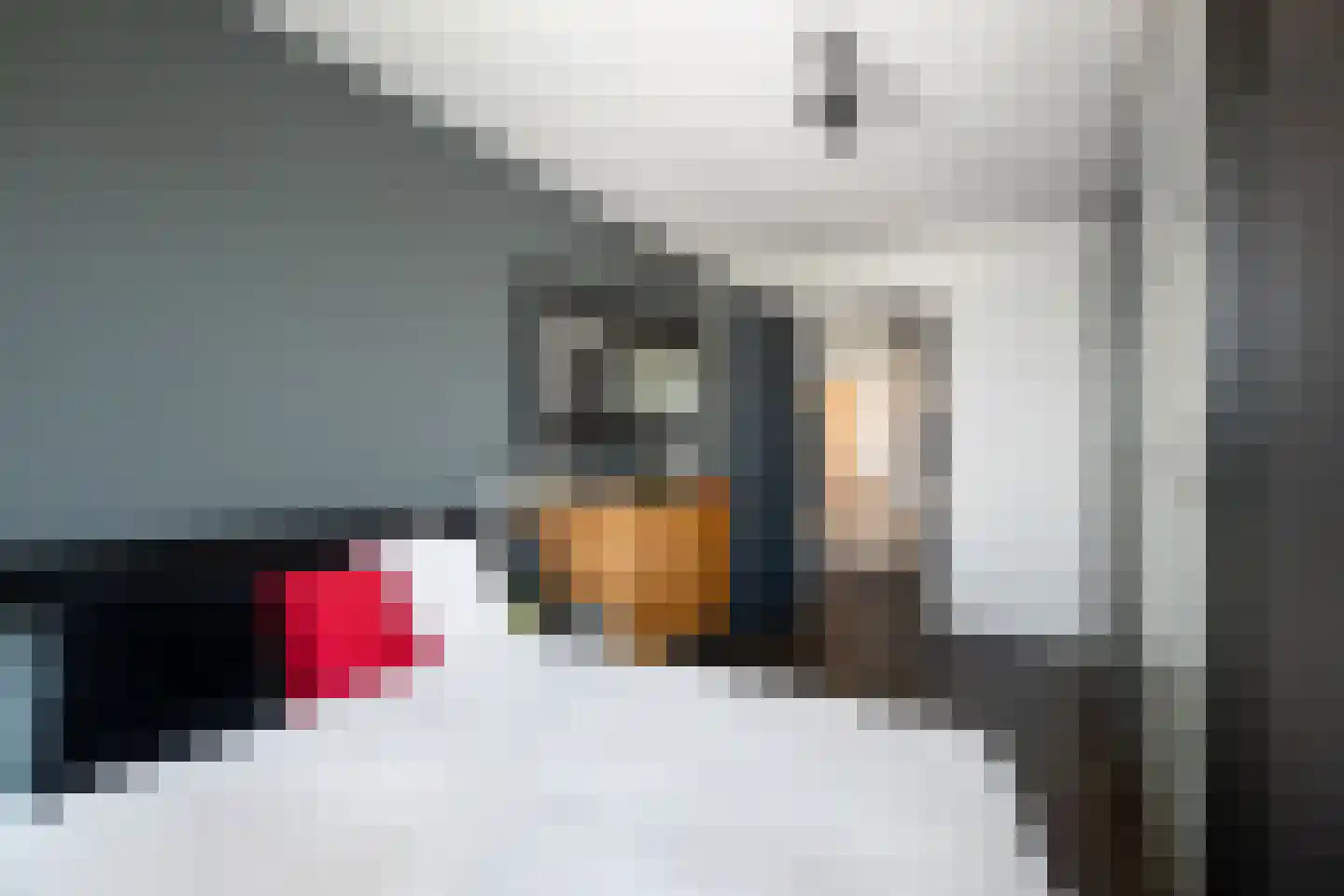 Houtlaan 287 Rotterdam thumbnail 37