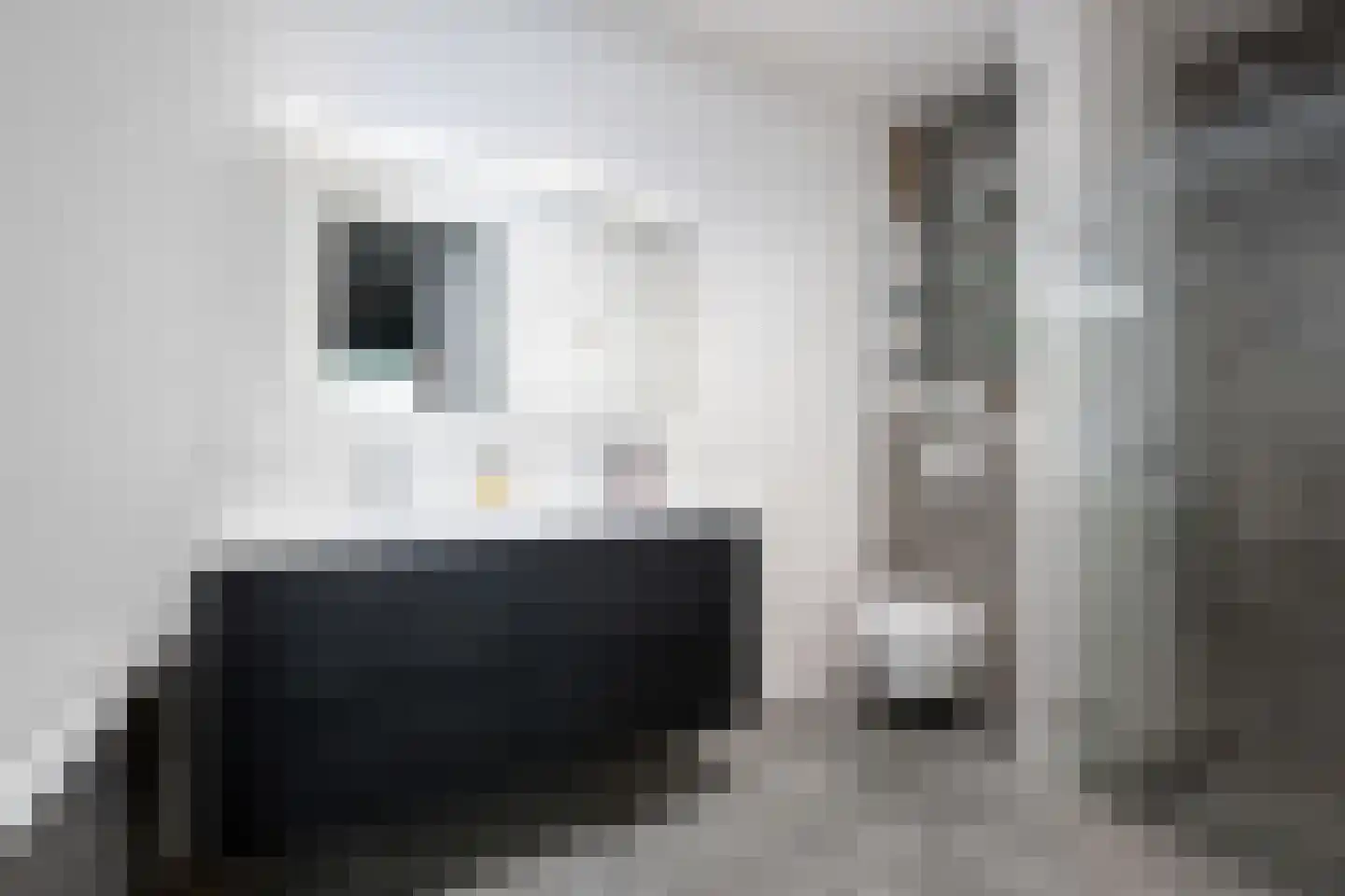 Houtlaan 287 Rotterdam thumbnail 39
