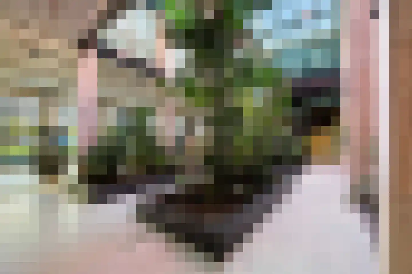 Houtlaan 287 Rotterdam thumbnail 48