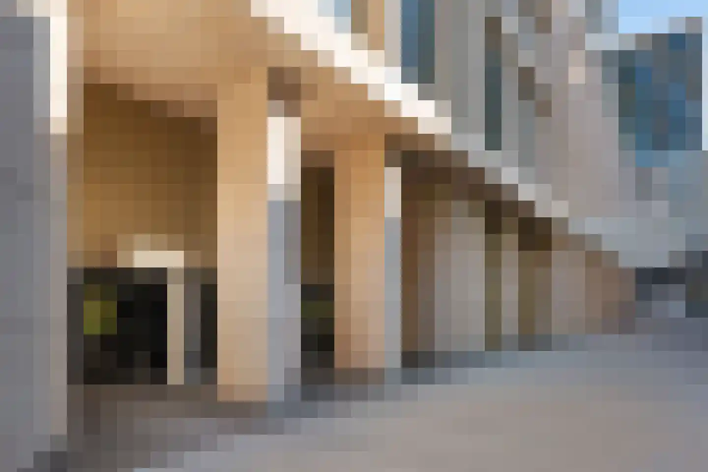 Houtlaan 287 Rotterdam thumbnail 49