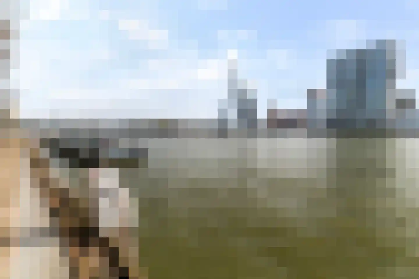Houtlaan 36 F Rotterdam thumbnail 37