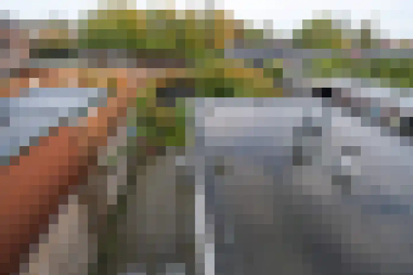 Houtlaan 37 Drachten thumbnail 28