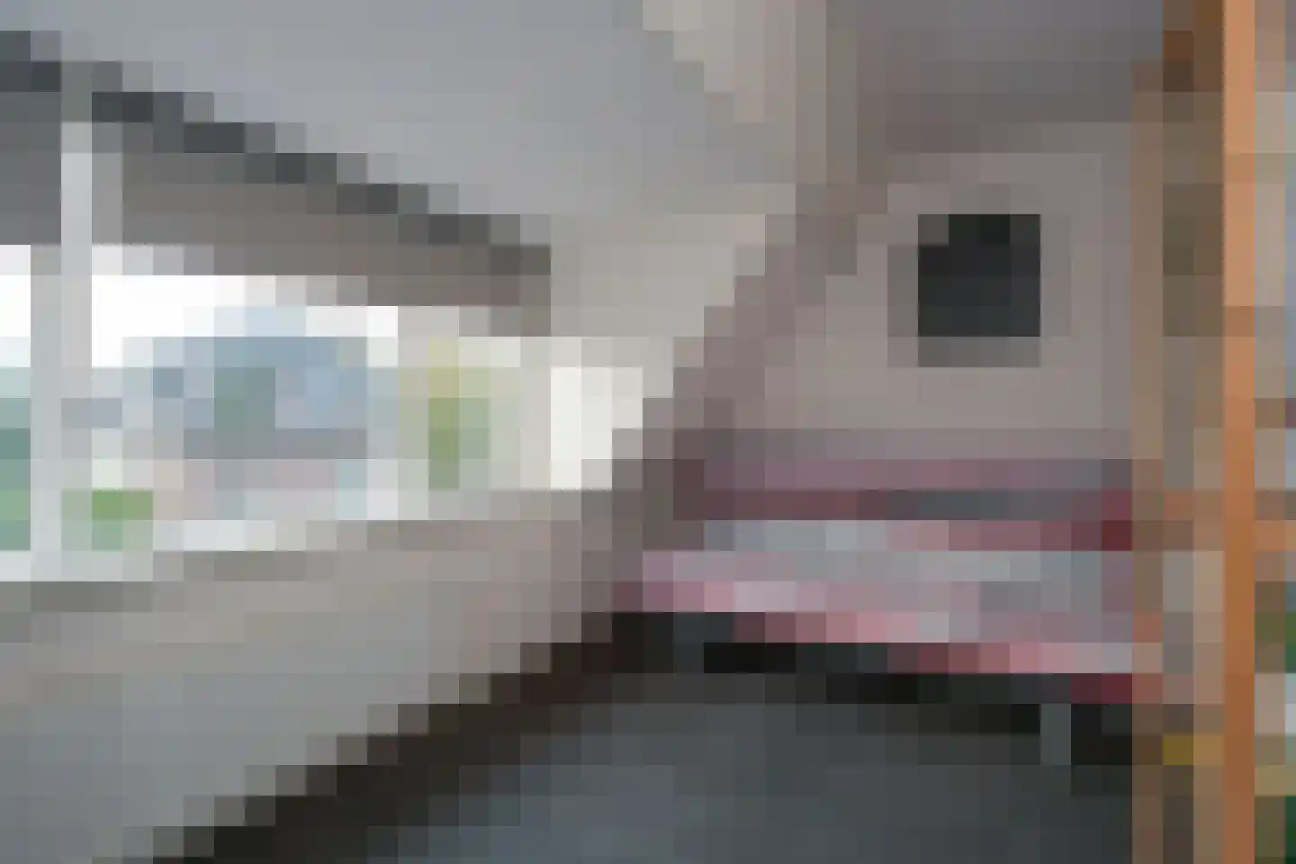 Houtlaan 37 Drachten thumbnail 30