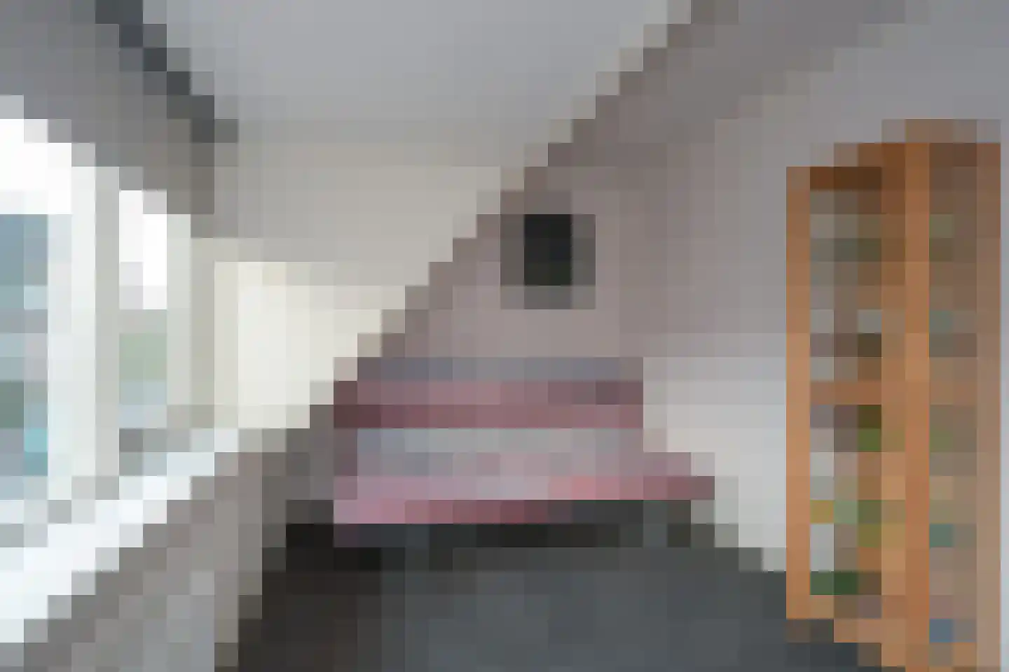 Houtlaan 37 Drachten thumbnail 31