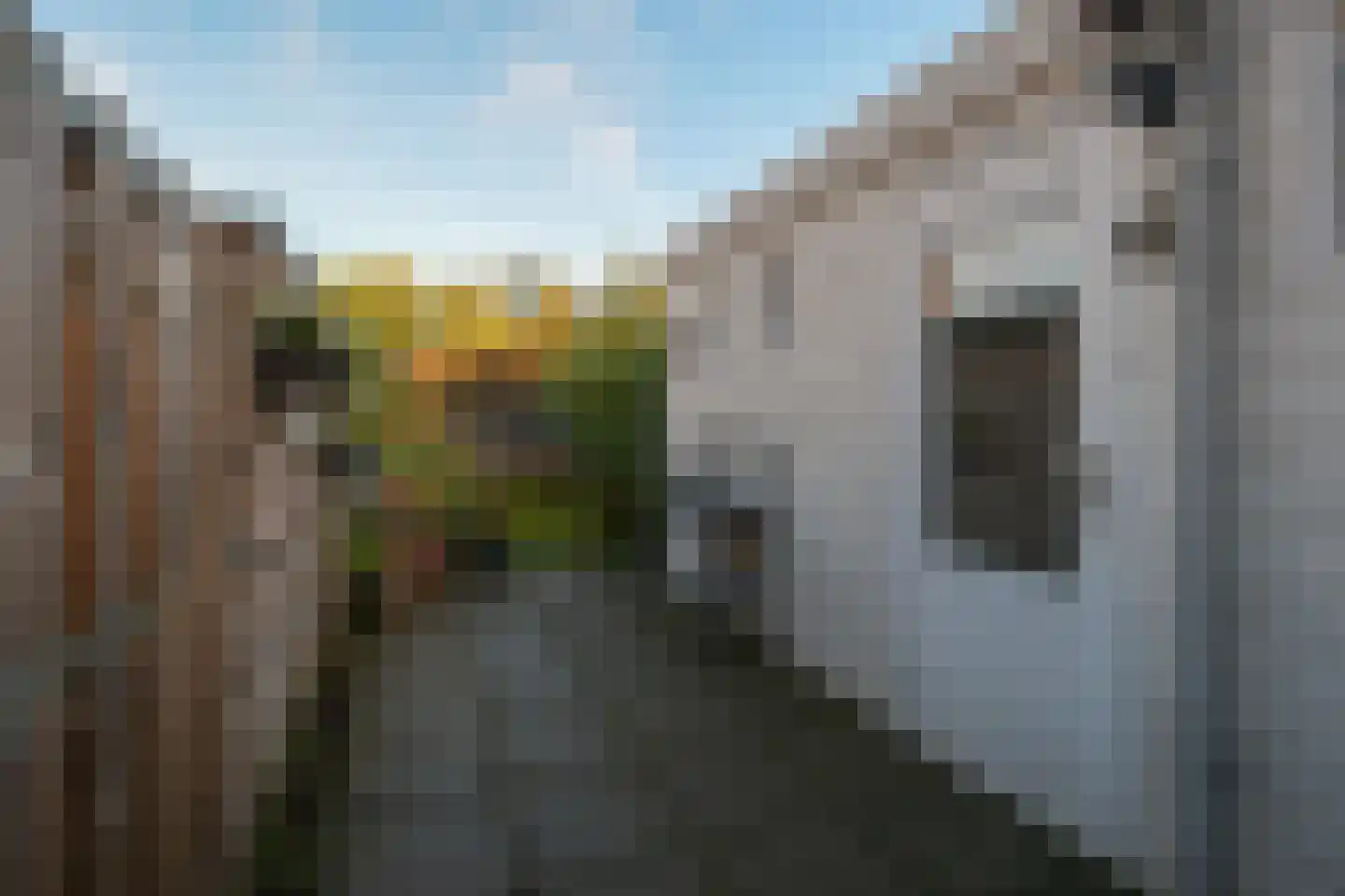 Houtlaan 37 Drachten thumbnail 39