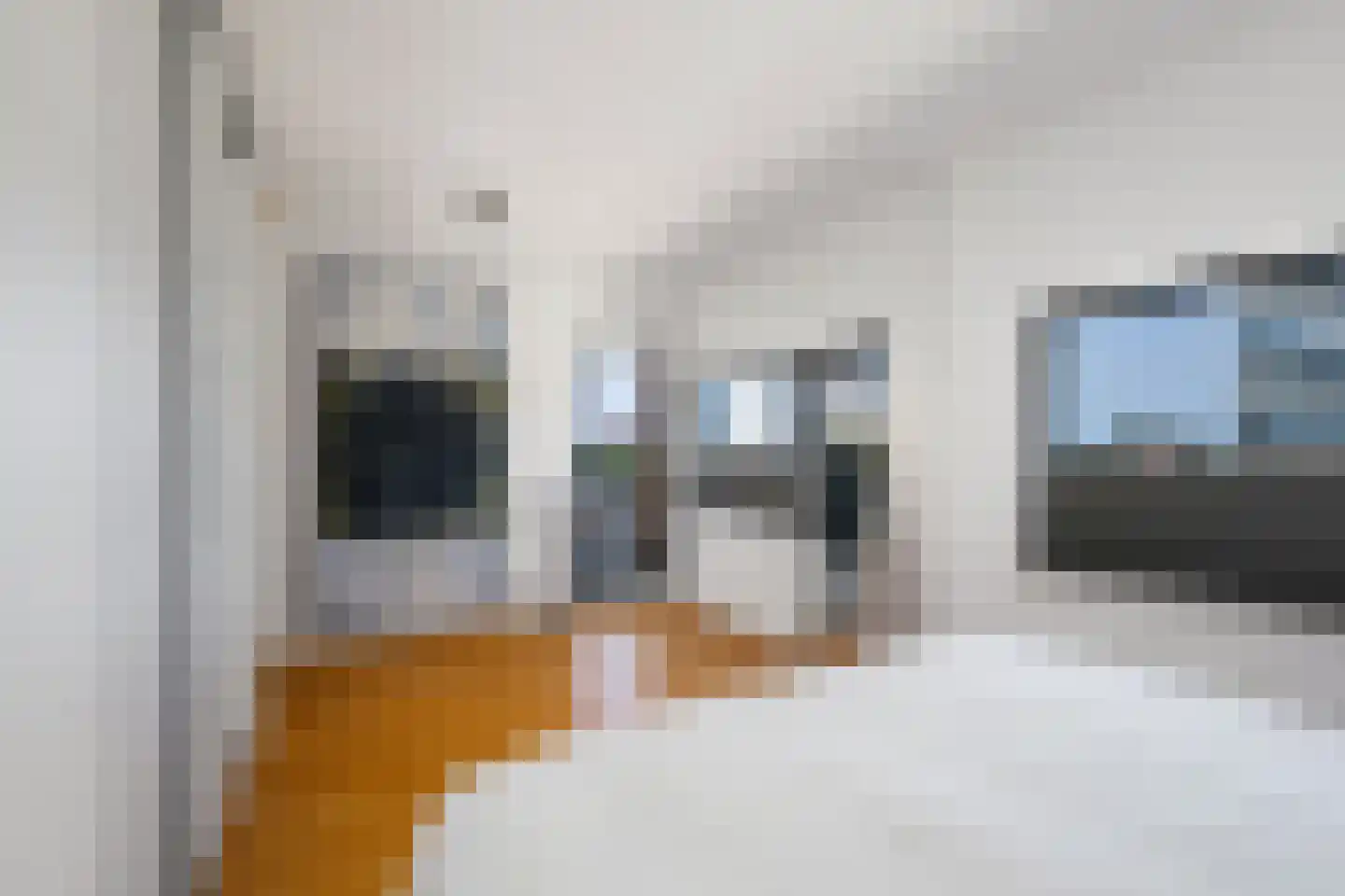 Houtlaan 38 C Rotterdam thumbnail 32