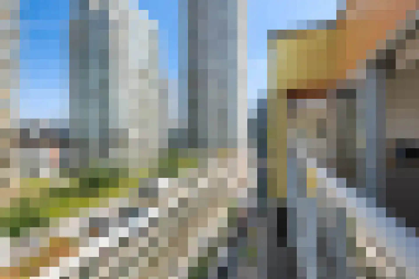 Houtlaan 38 C Rotterdam thumbnail 36