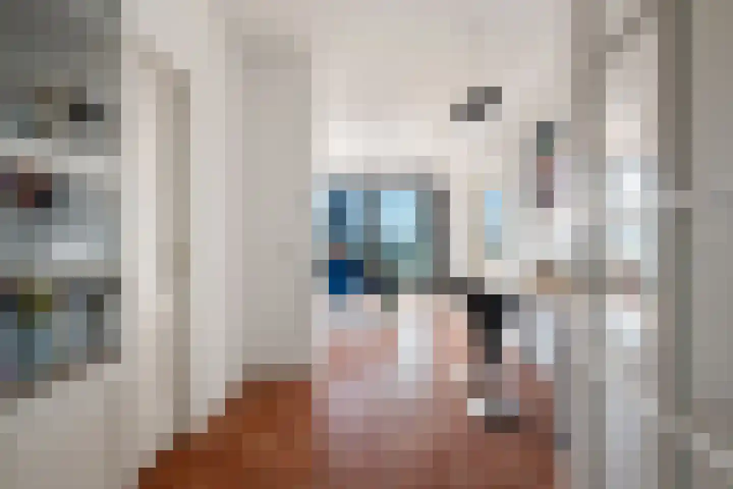 Houtlaan 38 D Rotterdam thumbnail 17