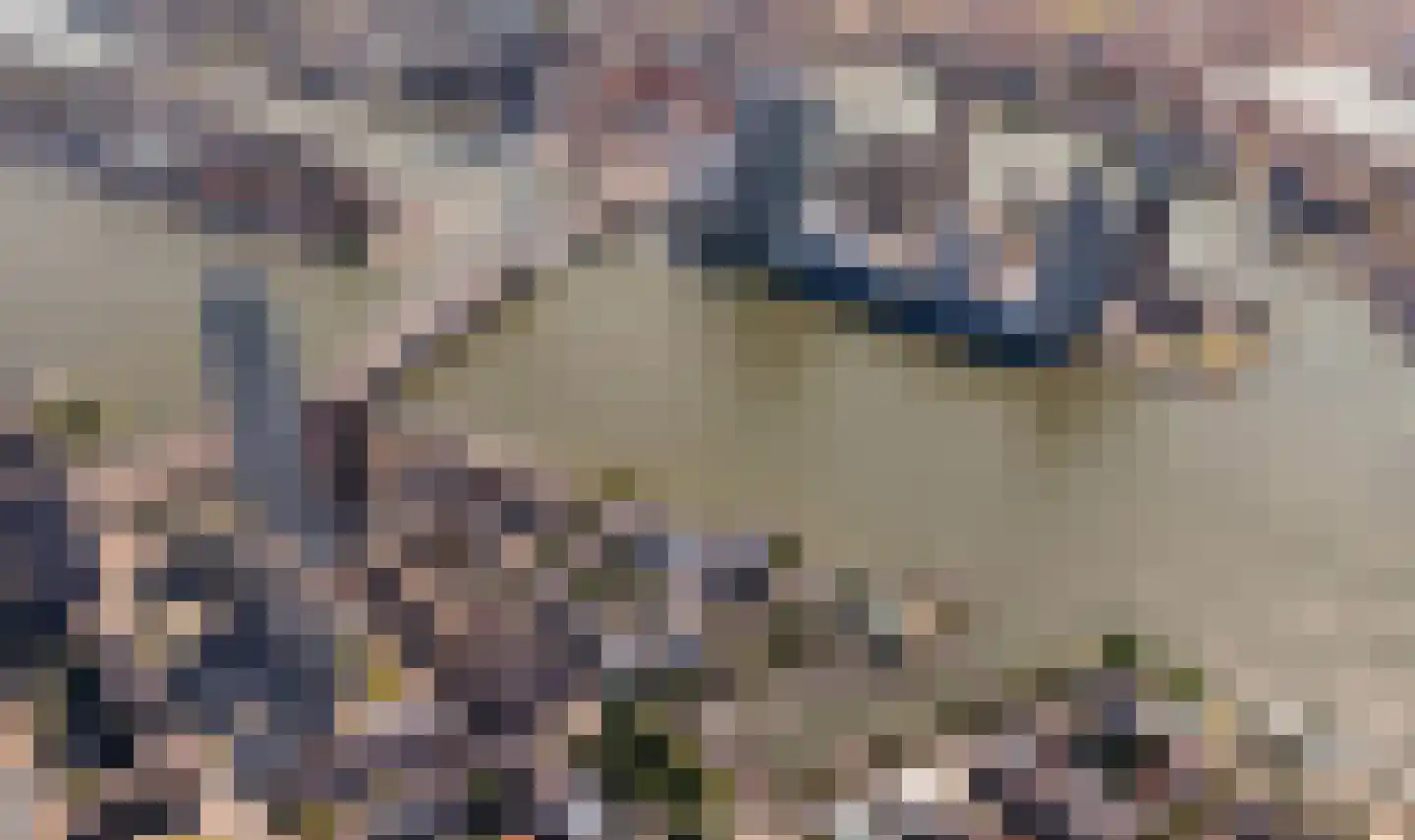 Houtlaan 38 D Rotterdam thumbnail 57