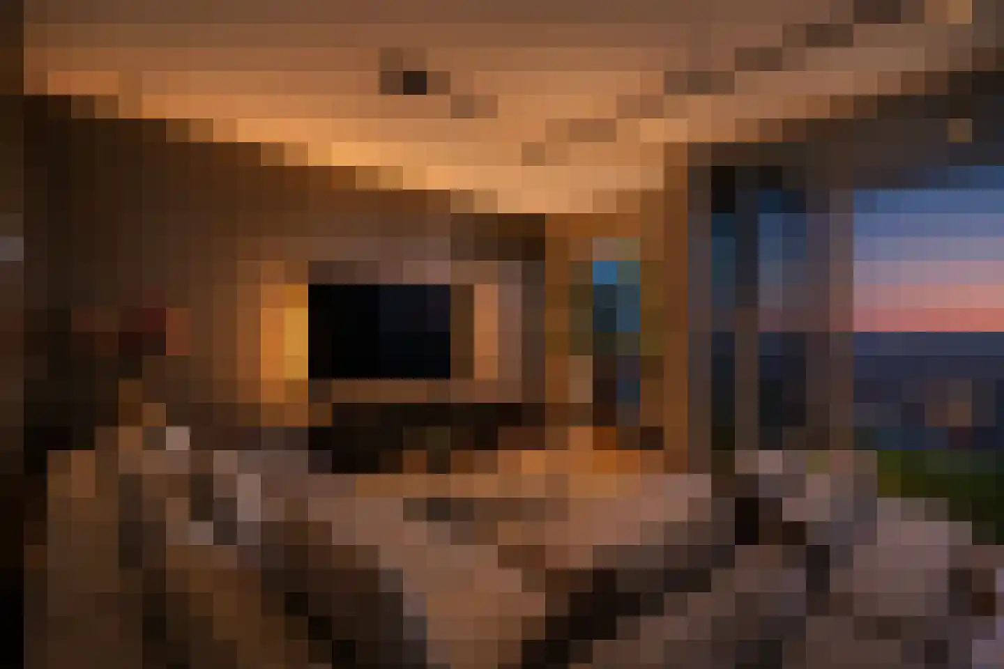 Houtlaan 413 Rotterdam thumbnail 12