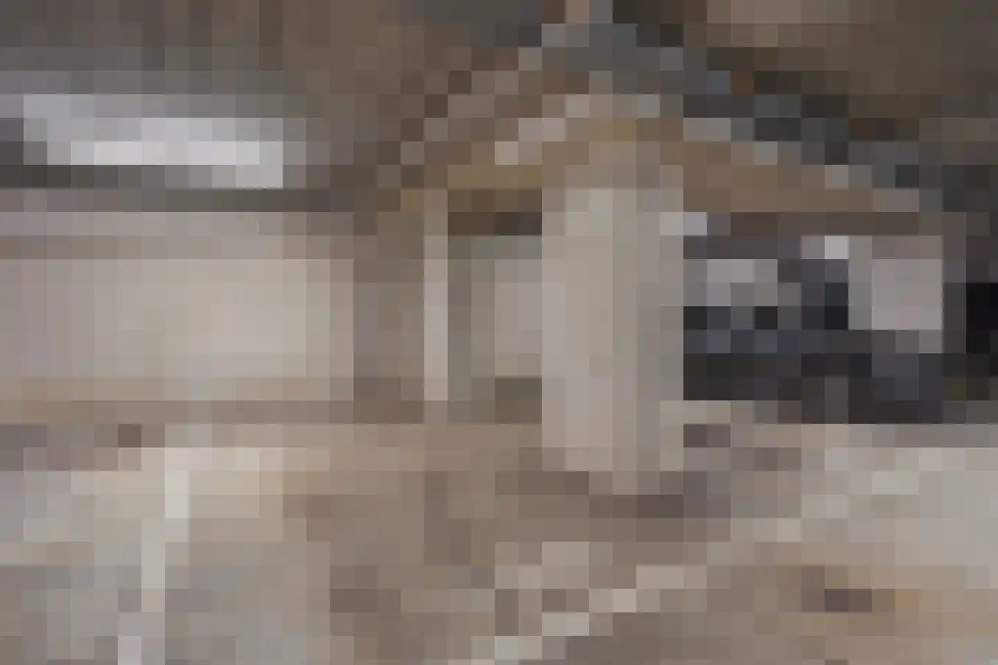 Houtlaan 413 Rotterdam thumbnail 29