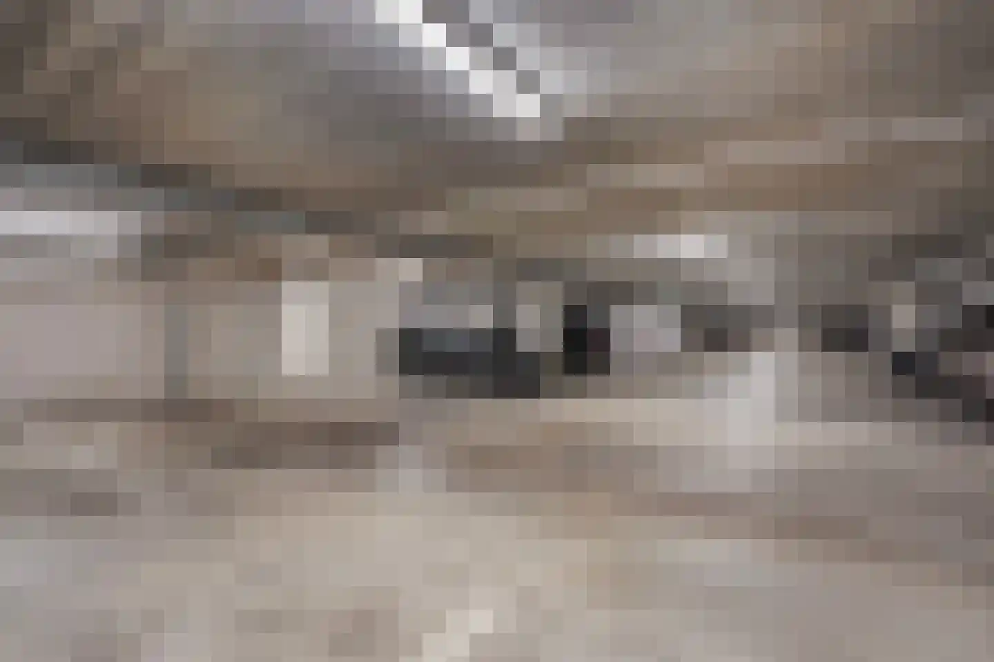 Houtlaan 413 Rotterdam thumbnail 30