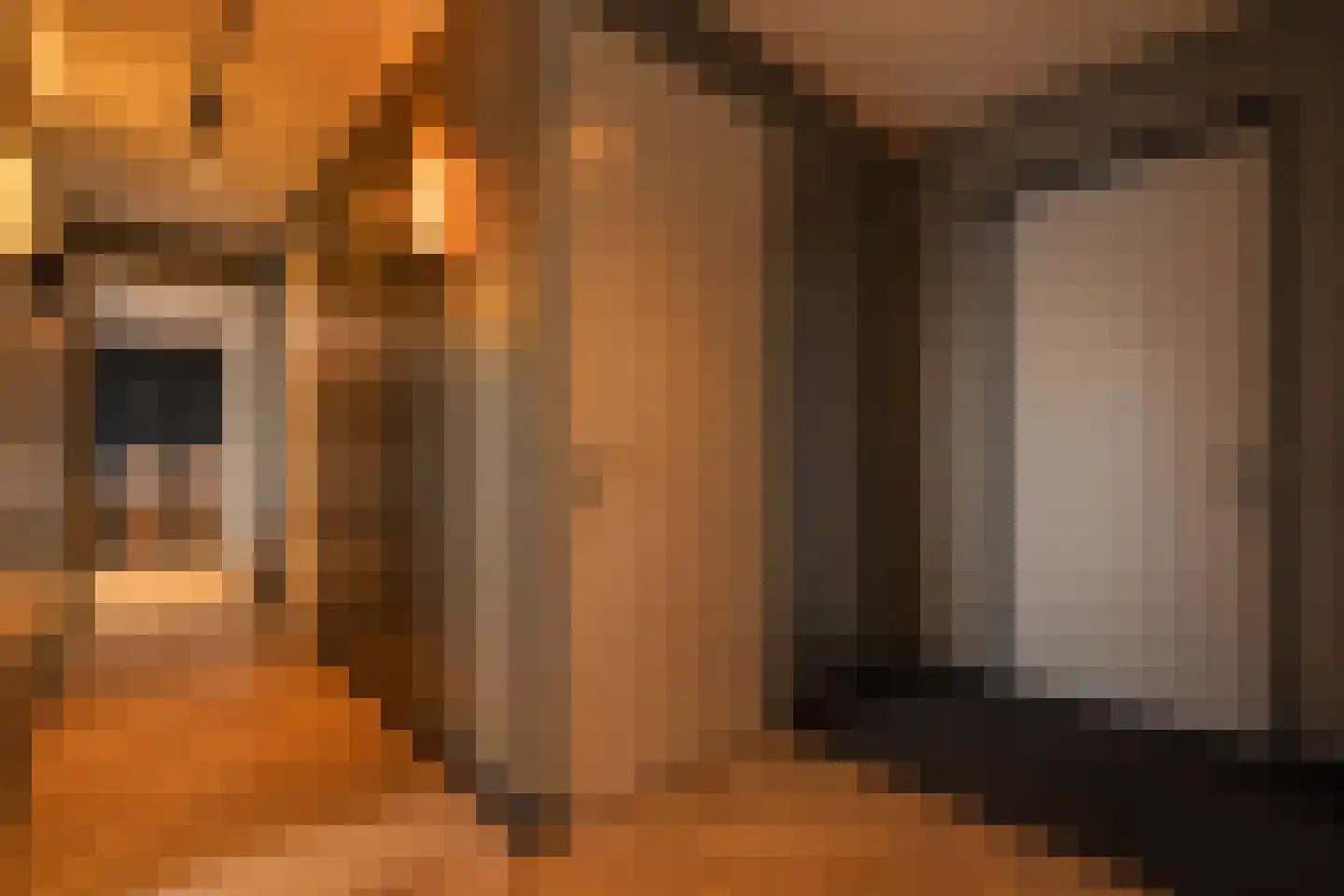 Houtlaan 413 Rotterdam thumbnail 4