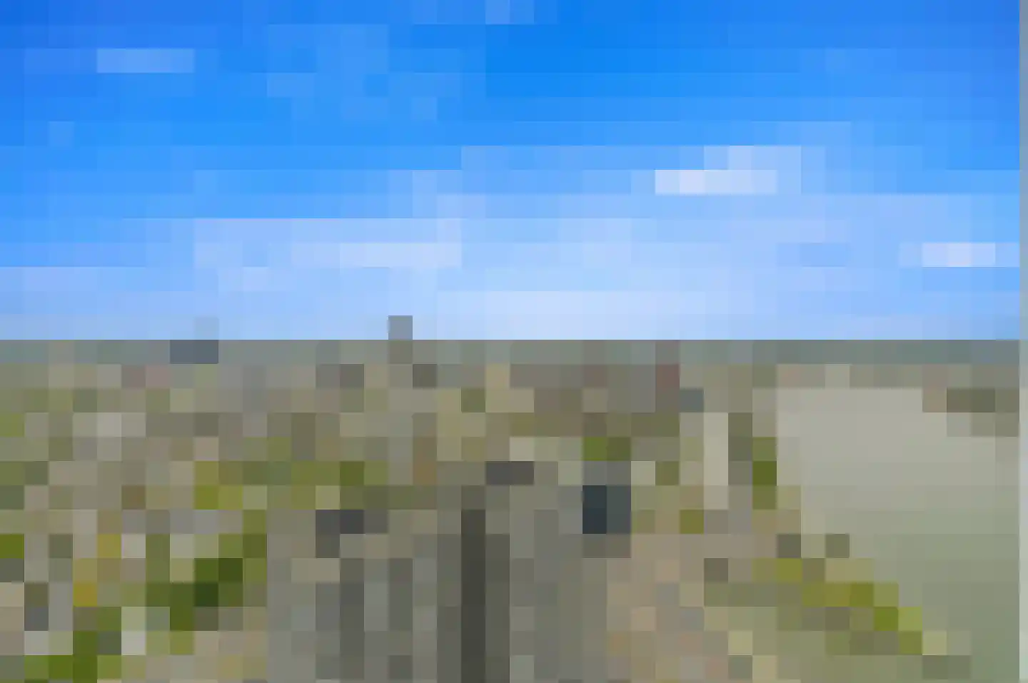 Houtlaan 445 Rotterdam thumbnail 5