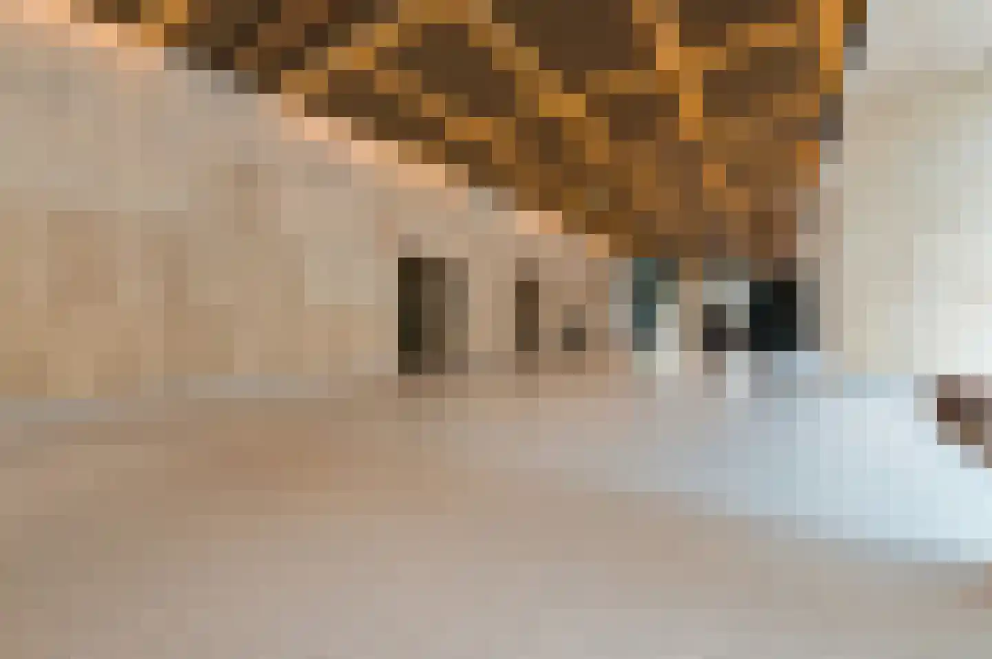 Houtlaan 445 Rotterdam thumbnail 8