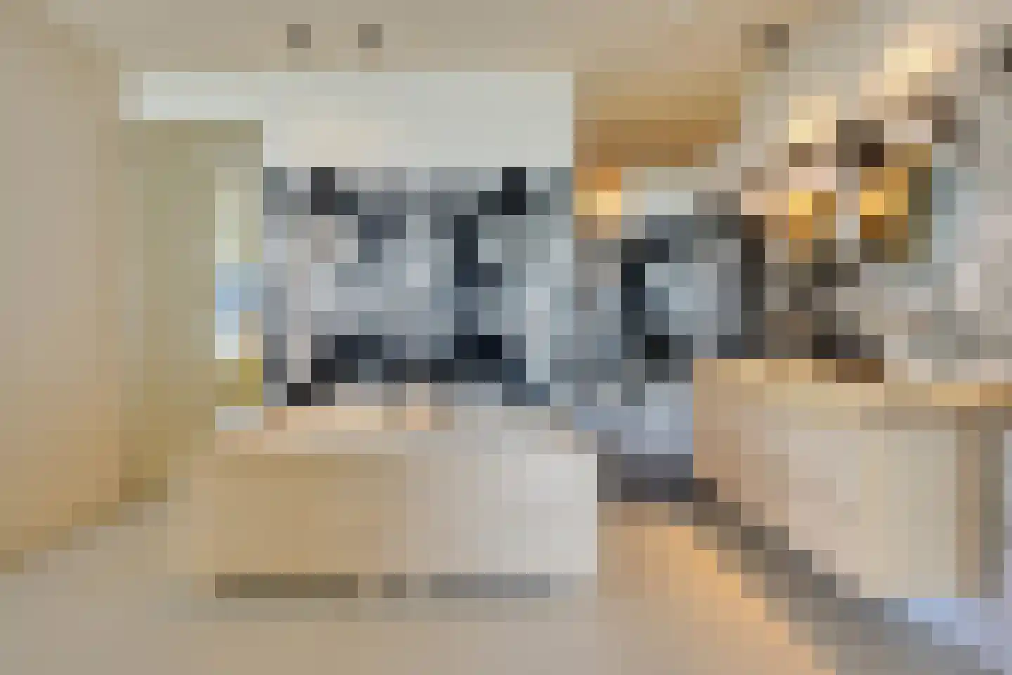 Houtlaan 507 Rotterdam thumbnail 14