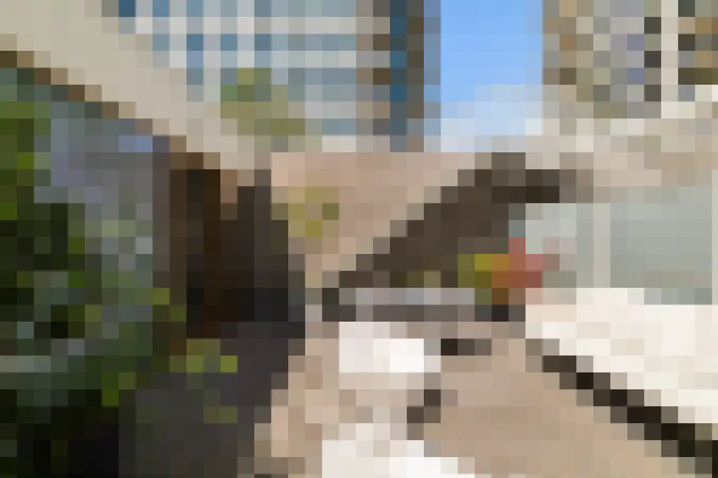 Houtlaan 565 Rotterdam thumbnail 47
