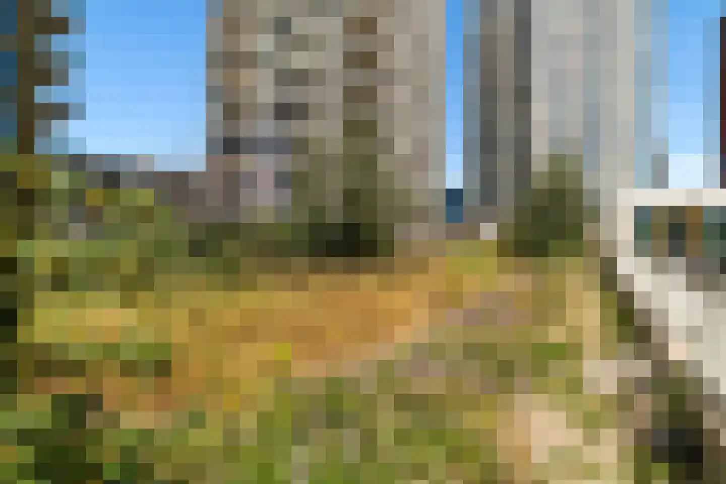 Houtlaan 565 Rotterdam thumbnail 52