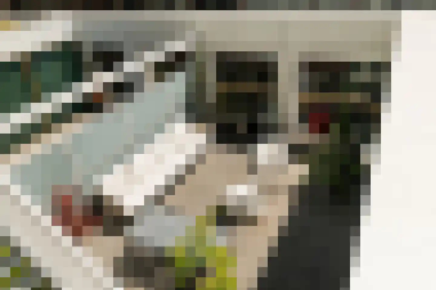 Houtlaan 565 Rotterdam thumbnail 54