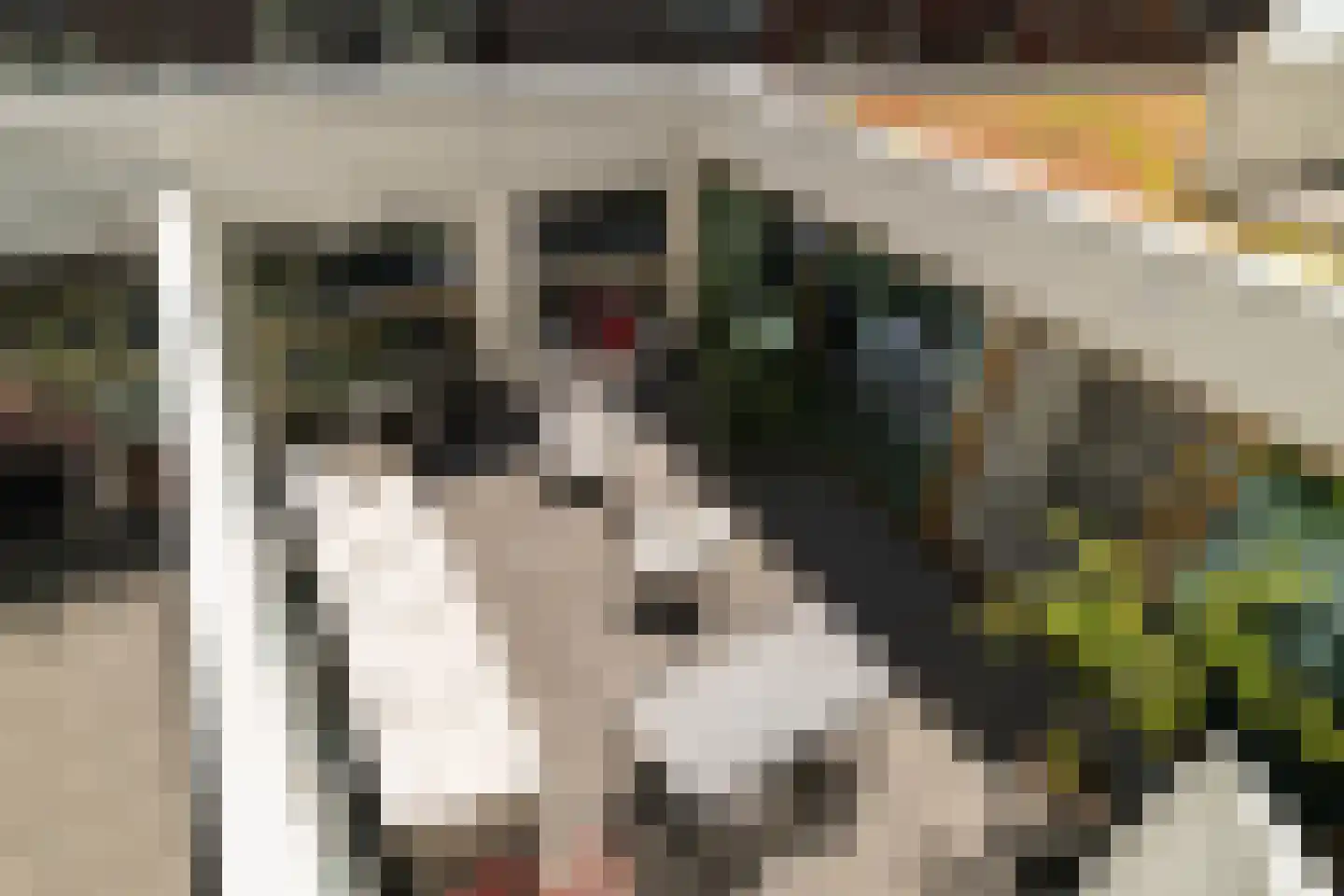 Houtlaan 565 Rotterdam thumbnail 55