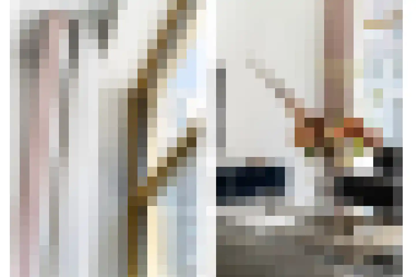 Houtlaan 565 Rotterdam thumbnail 6