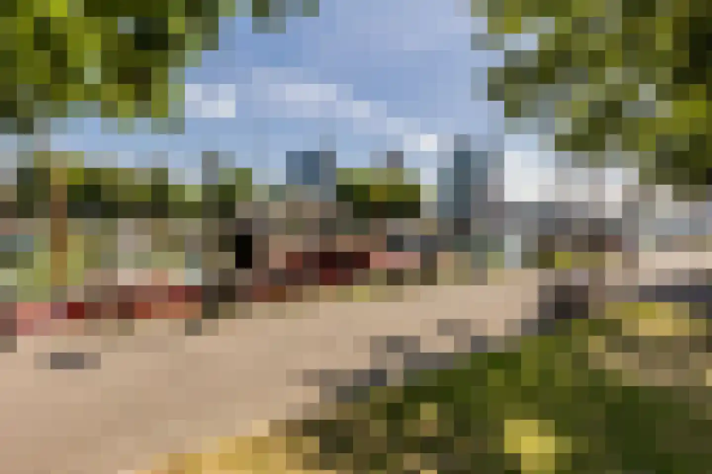Houtlaan 565 Rotterdam thumbnail 64
