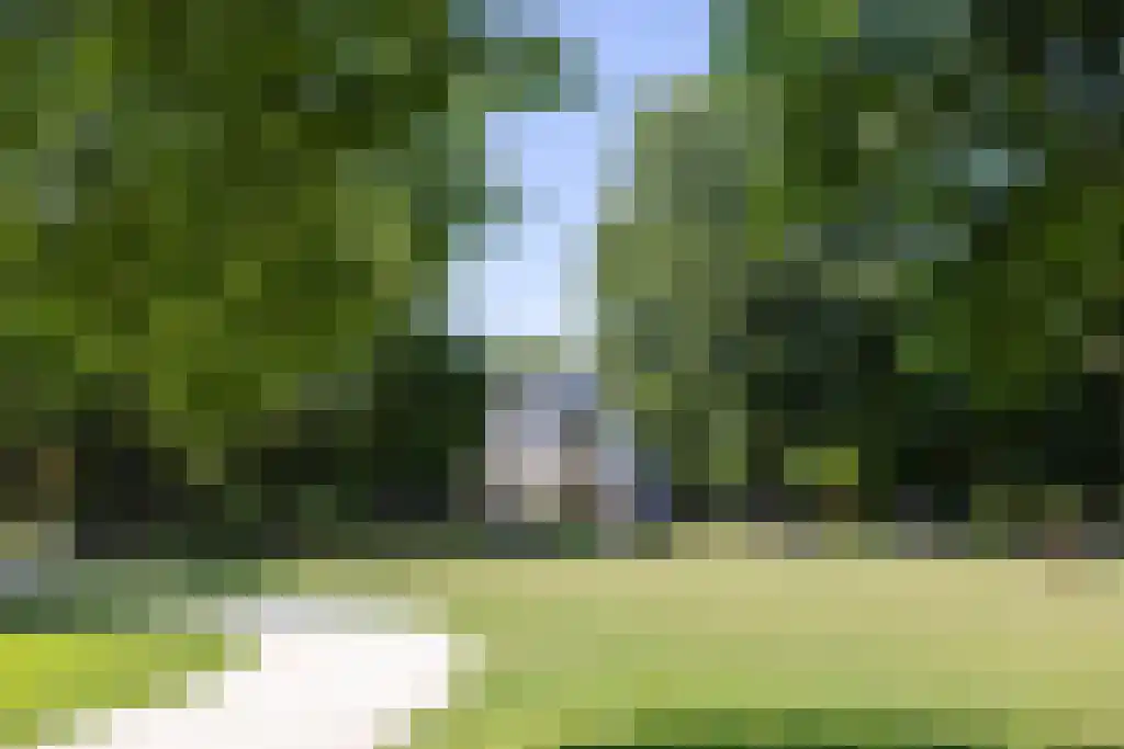 Houtlaan 565 Rotterdam thumbnail 69
