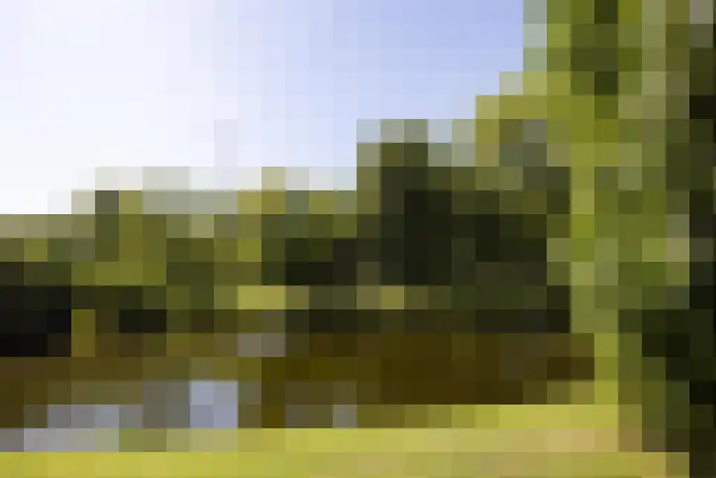 Houtlaan 565 Rotterdam thumbnail 71