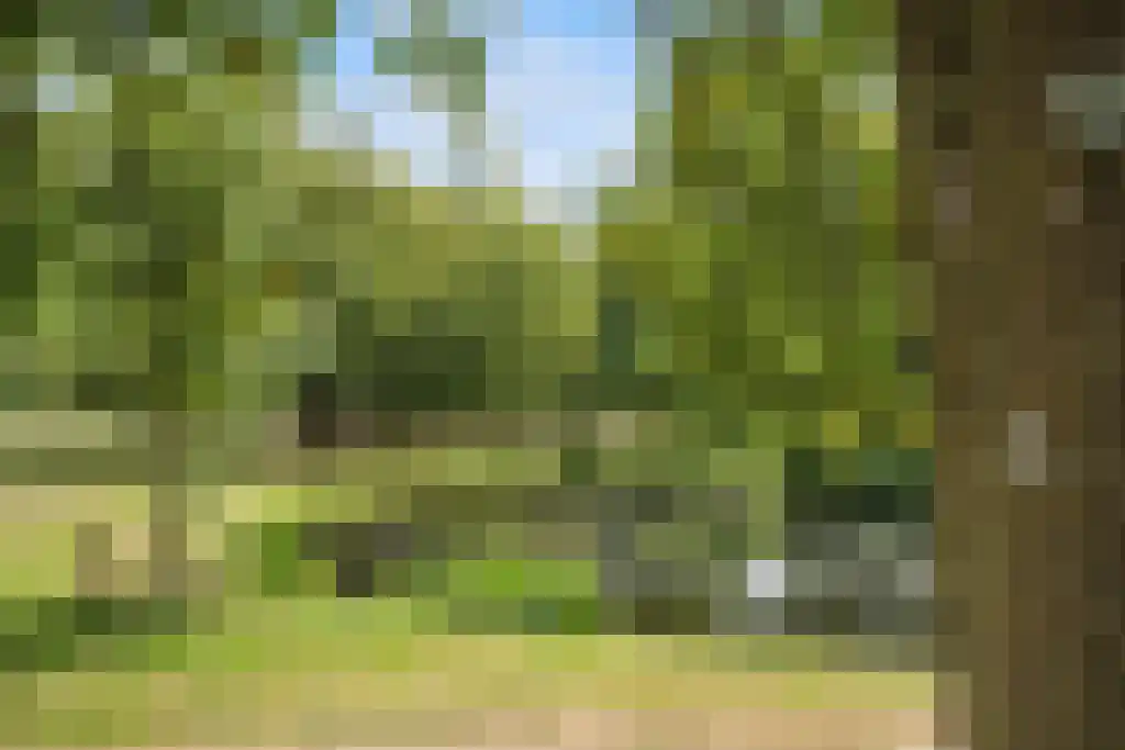 Houtlaan 565 Rotterdam thumbnail 72