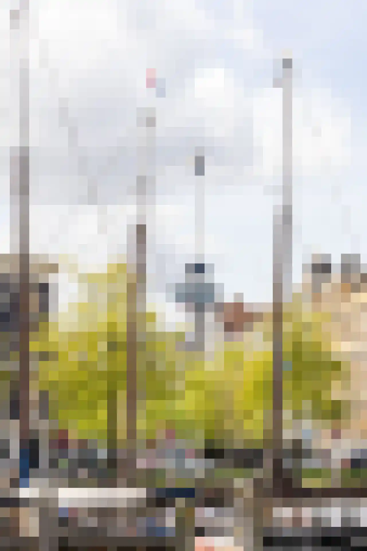 Houtlaan 565 Rotterdam thumbnail 75