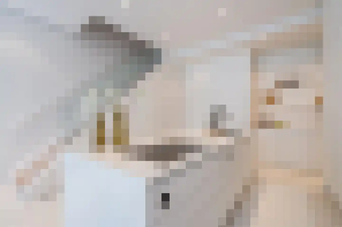 Houtlaan 567 Rotterdam thumbnail 12