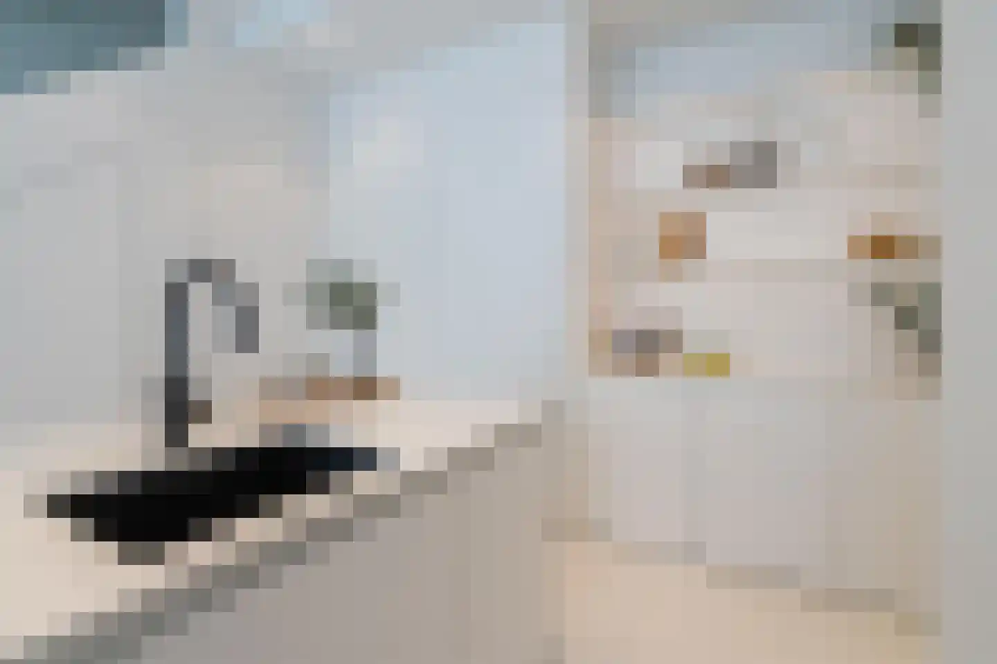 Houtlaan 567 Rotterdam thumbnail 16