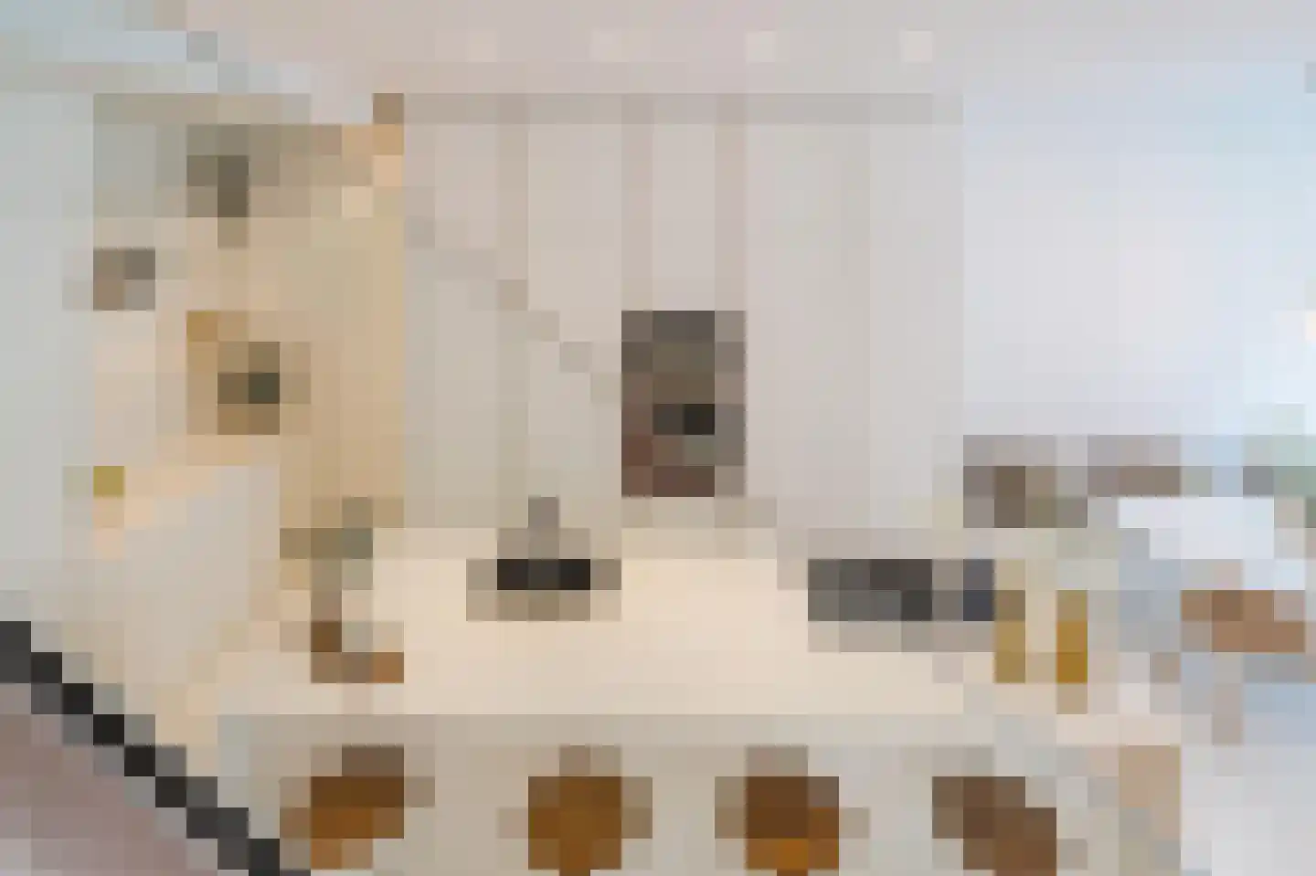 Houtlaan 567 Rotterdam thumbnail 17