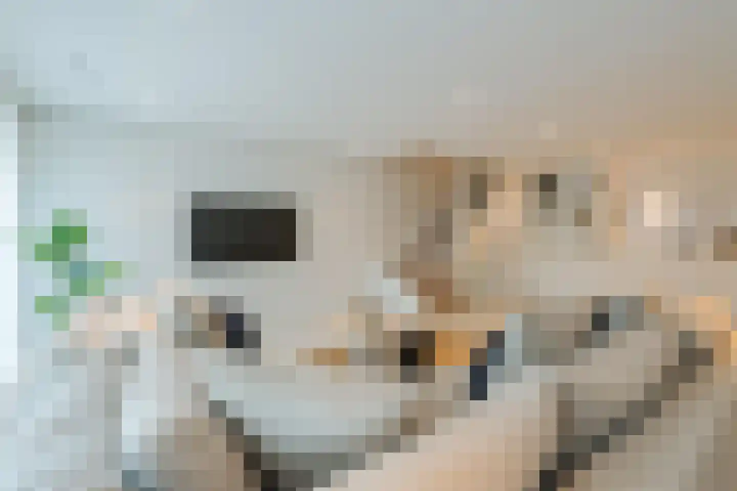 Houtlaan 567 Rotterdam thumbnail 25