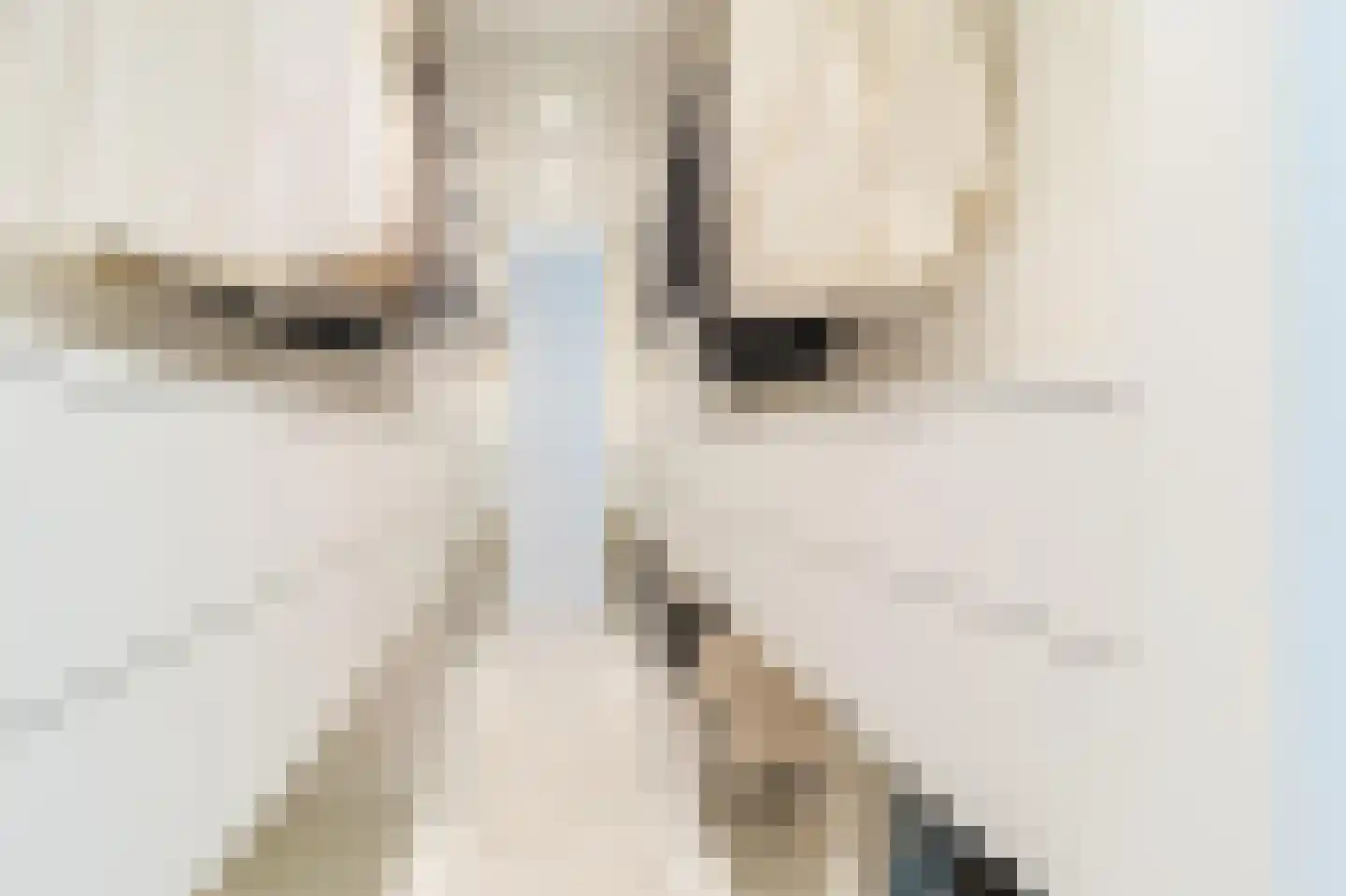 Houtlaan 567 Rotterdam thumbnail 37