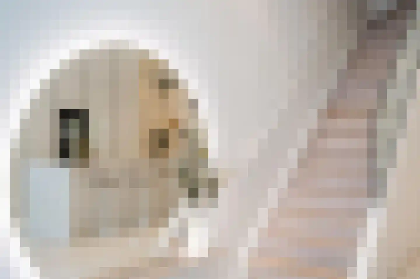 Houtlaan 567 Rotterdam thumbnail 6