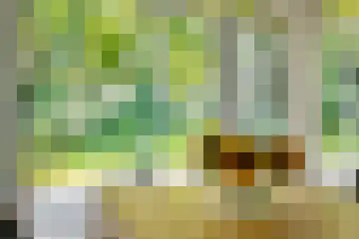 Houtlaan 6 Assen thumbnail 18
