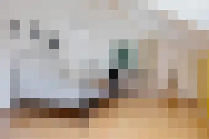 Houtlaan 6 Assen thumbnail 26