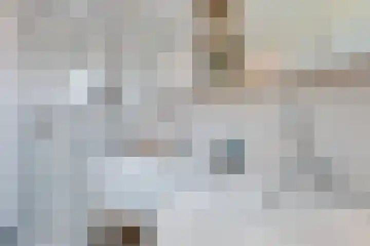 Houtlaan 6 Assen thumbnail 31