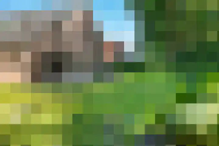 Houtlaan 6 Assen thumbnail 49