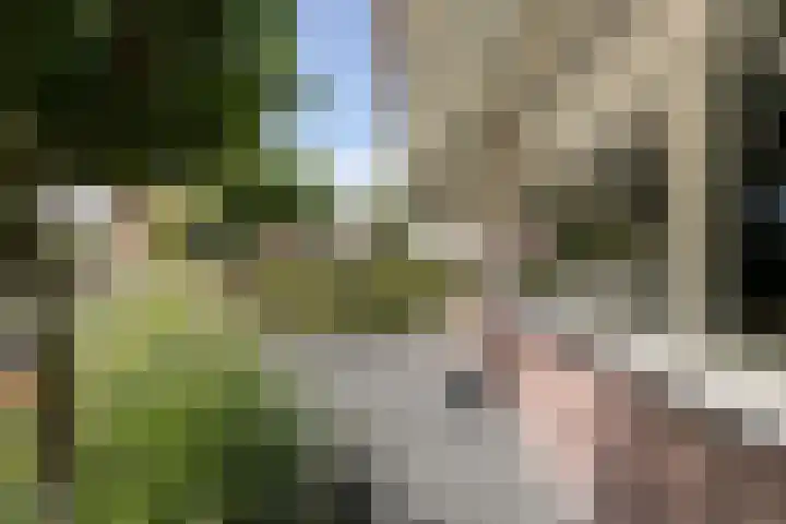 Houtlaan 67 Drachten thumbnail 12