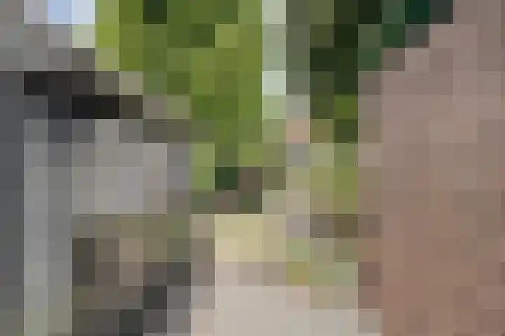 Houtlaan 67 Drachten thumbnail 37