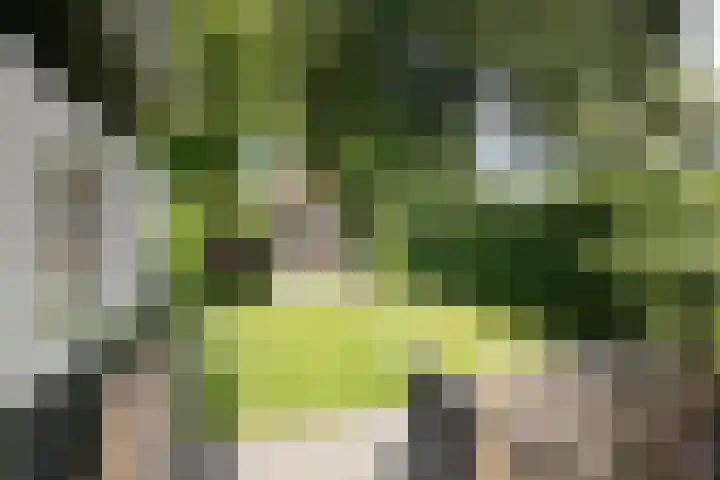 Houtlaan 67 Drachten thumbnail 38