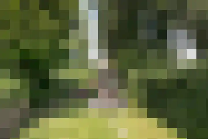 Houtlaan 67 Drachten thumbnail 39