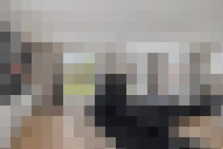 Houtlaan 68 Assen thumbnail 13