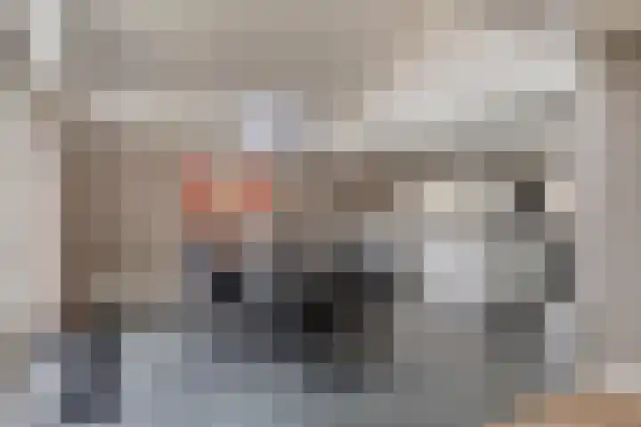Houtlaan 68 Assen thumbnail 15