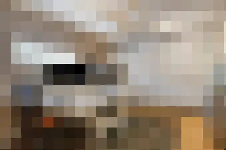 Houtlaan 68 Assen thumbnail 27