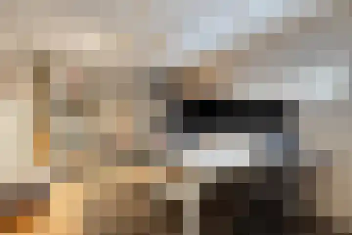 Houtlaan 68 Assen thumbnail 28