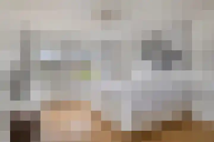 Houtlaan 68 Assen thumbnail 37