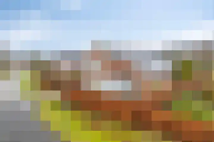 Houtlaan 68 Assen thumbnail 4